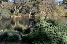 wittunga botanic gardens