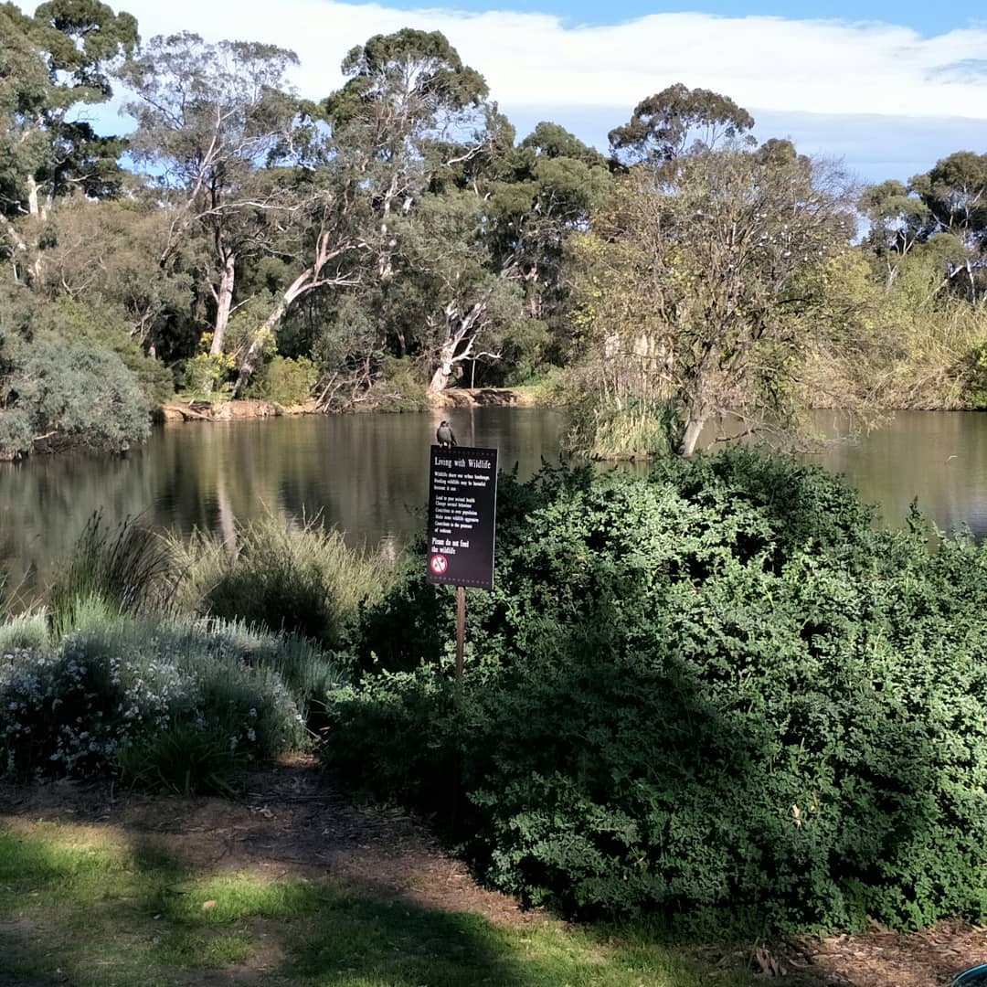 wittunga botanic gardens