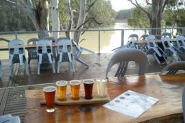 woolshed brewery