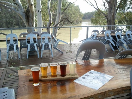 woolshed brewery