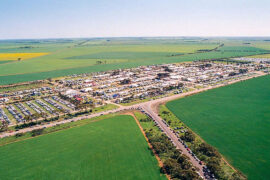 yorke peninsula field days