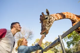 zoo tickets adelaide