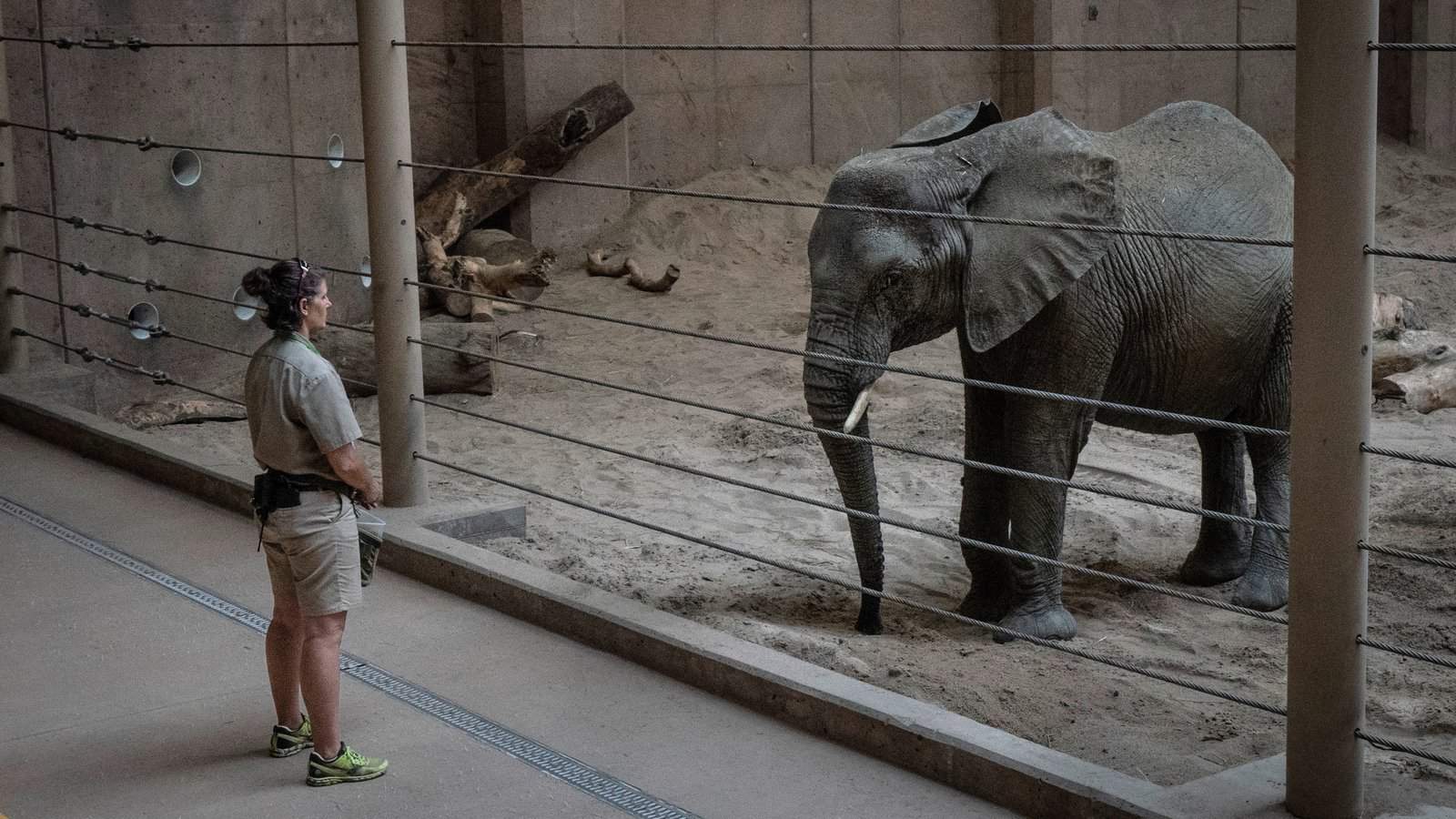 Zoos: A Fun and Educational Experience for All Ages