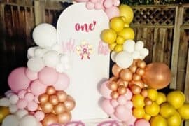 1 year old birthday party venues in Tracy California