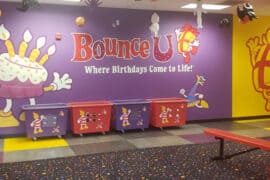 3 year old birthday party venues in Roseville California