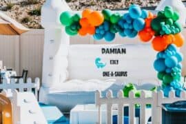 4 year old birthday party venues in Lake Elsinore California