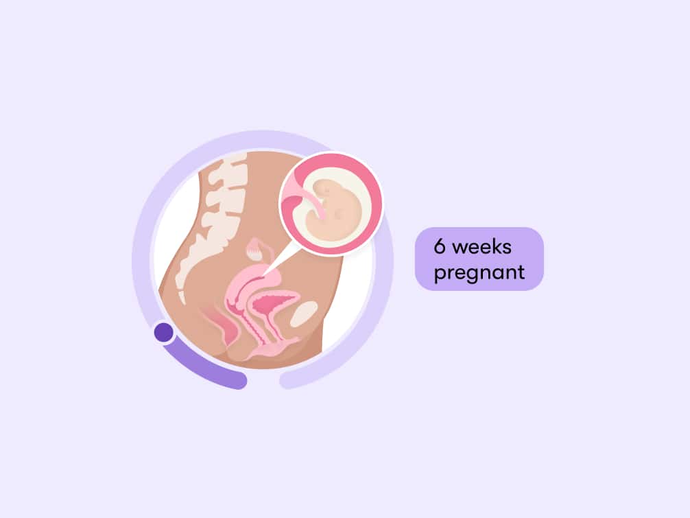 possible-title-understanding-severe-lower-abdominal-pain-at-6-weeks