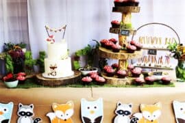 6 year old birthday party venues in Woodlands