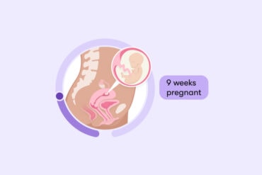 9 week pregnant