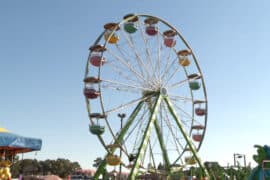 Amusement Parks in Augusta-Richmond County Georgia