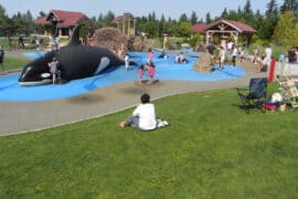 Amusement Parks in Bellevue Washington