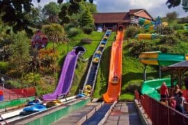 Amusement Parks in Woodlands