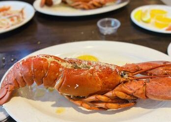 Best Buffets in Alpharetta Georgia