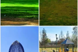 Best Playgrounds in Bakersfield California