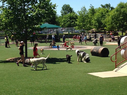 Best Playgrounds in Johns Creek Georgia