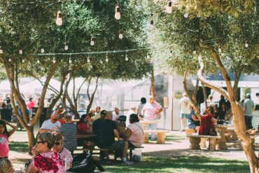 Birthday Party Venues in Queen Creek Town Arizona