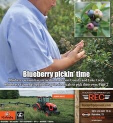 Blueberry Picking Places in Cedar Park Texas