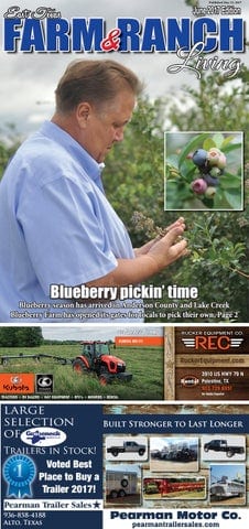 Blueberry Picking Places in Cedar Park Texas