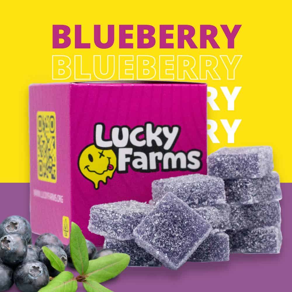 Blueberry Picking Places in Eastvale California