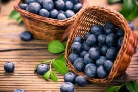 Blueberry Picking Places in Escondido California