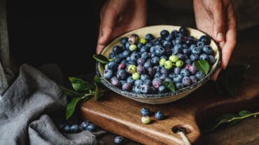 Blueberry Picking Places in Flower Mound town, Texas