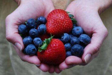 Blueberry Picking Places in Houston Texas