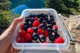 Blueberry Picking Places in Kent Washington