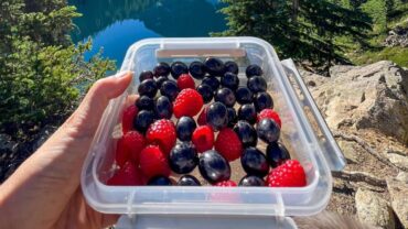 Blueberry Picking Places in Kent Washington