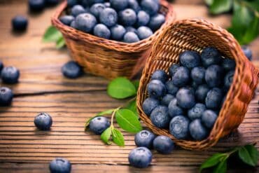 Blueberry Picking Places in Menifee California