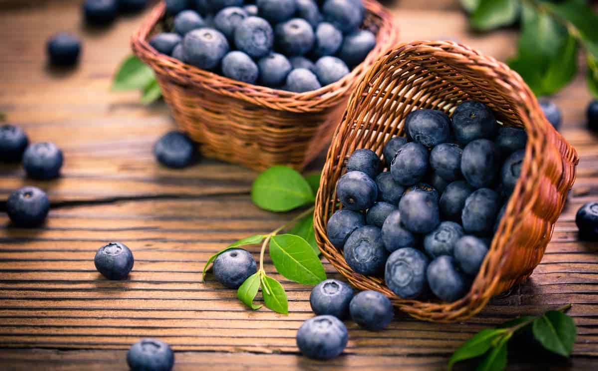 Blueberry Picking Places in Menifee California