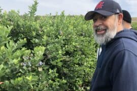 Blueberry Picking Places in Moreno Valley California