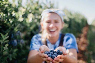 Blueberry Picking Places in Pharr Texas