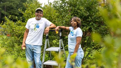 Blueberry Picking Places in Roswell Georgia