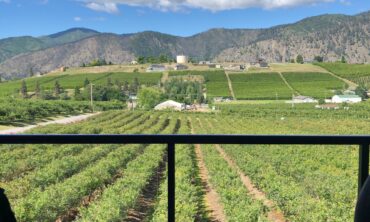 Blueberry Picking Places in South Hill Washington