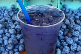 Blueberry Picking Places in Vista California