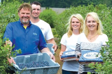 Blueberry Picking Places in West Jordan Utah