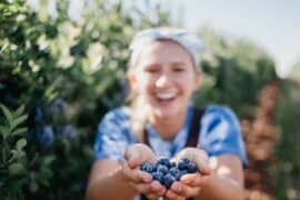 Blueberry Picking Places in Wichita Falls Texas