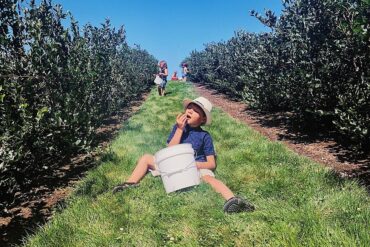 Blueberry Picking Places in Yakima Washington