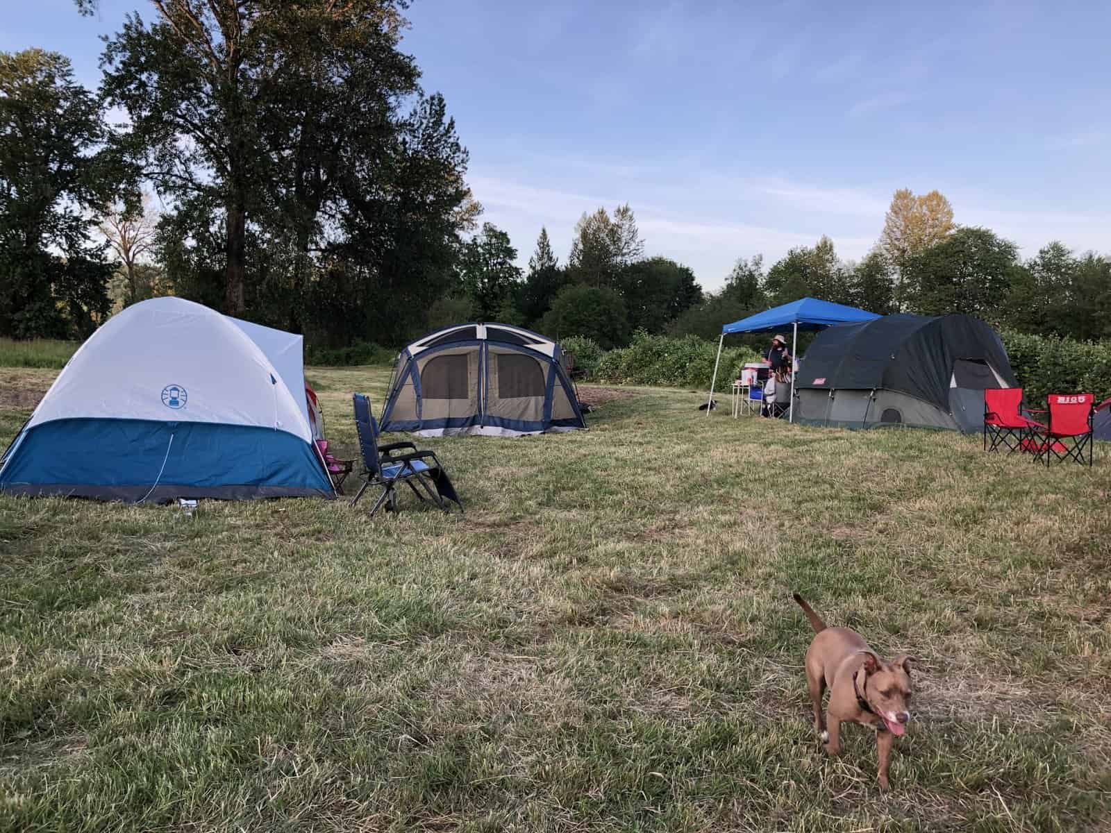 Camping Spots in Auburn Washington