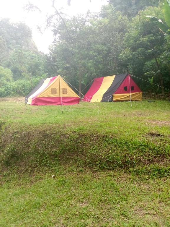 Camping Spots in Bukit Panjang