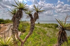 Camping Spots in Corpus Christi Texas