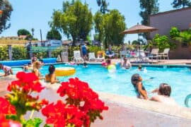 Camping Spots in El Cajon California