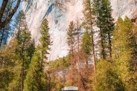 Camping Spots in Inglewood California