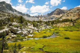 Camping Spots in Mountain View California