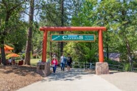 Camping Spots in Redding California