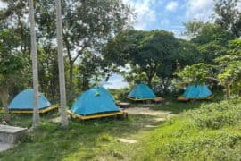 Camping Spots in Wong Tai Sin Kowloon