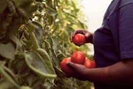 Cherry Picking Places in Marine Parade