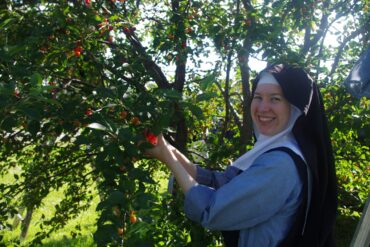 Cherry Picking Places in Novena