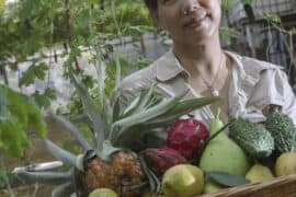 Cherry Picking Places in Wan Chai Hong Kong Island