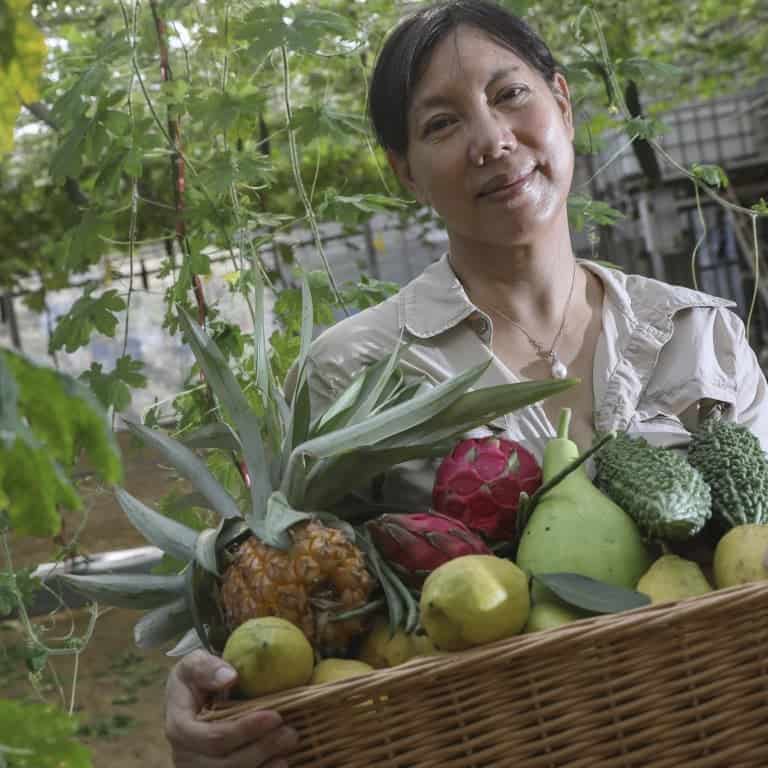 Cherry Picking Places in Wan Chai Hong Kong Island